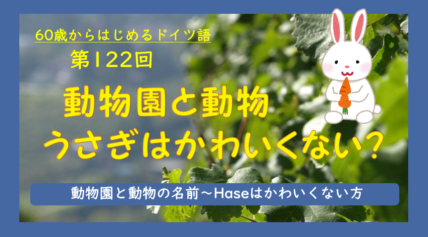 第122回放送 動物園 うさぎはかわいくない 60歳からはじめるドイツ語